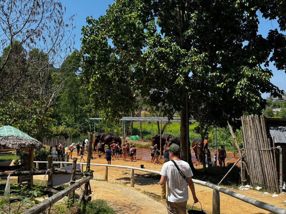 Phuket Elephant Care-奈通必去景点