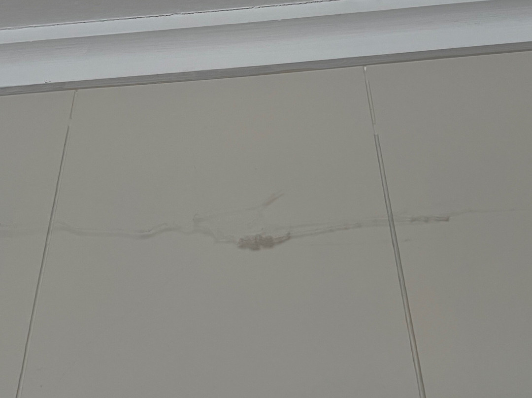 奥托罗昂格及怀托莫汽车旅馆主图