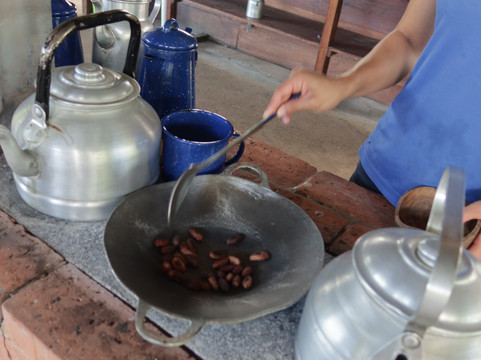 Dees Costa Rica Tours-Playa Flamingo必去景点