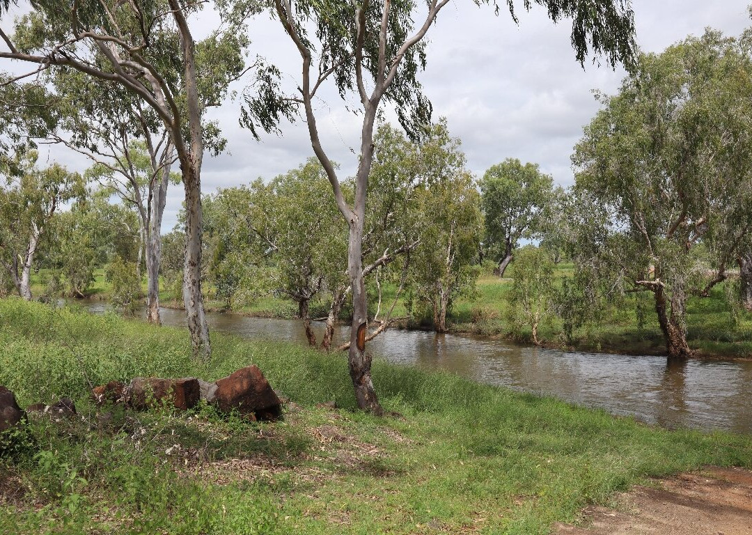Dalrymple National Park-查特斯堡必去景点