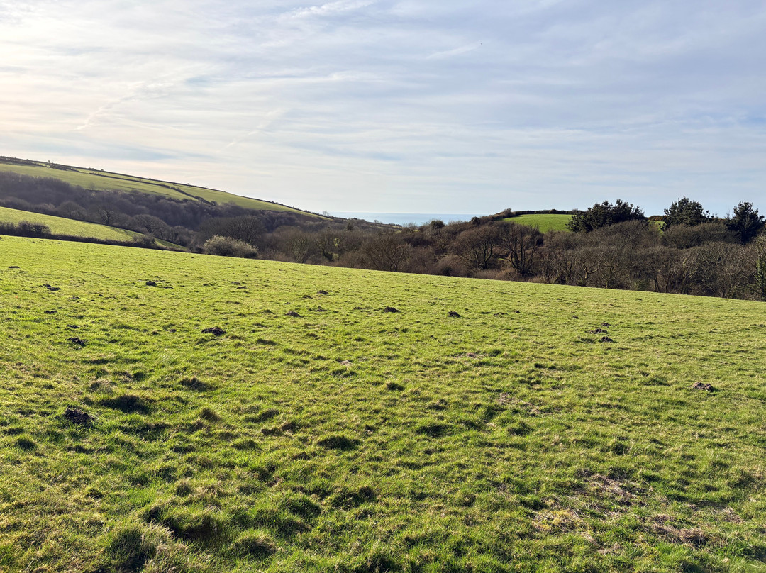Courtyard Farm Cottages