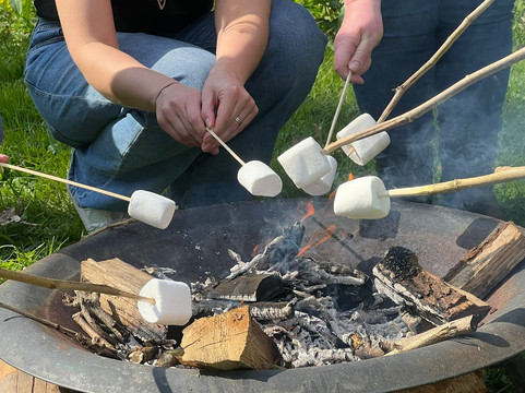 Wilderfox-Chudleigh必去景点