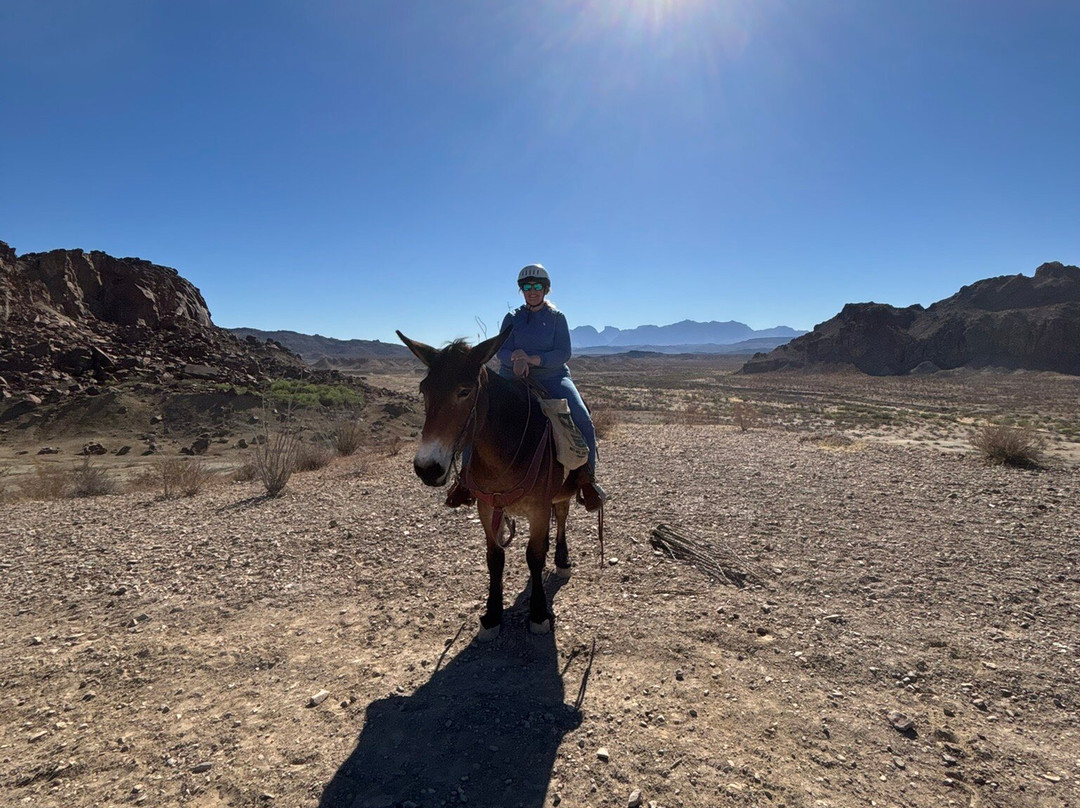 Big Bend & Lajitas Stables-Terlingua必去景点