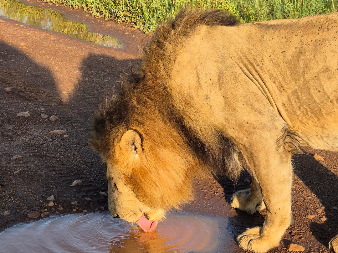 African Kismat Expeditions-Ruiru必去景点