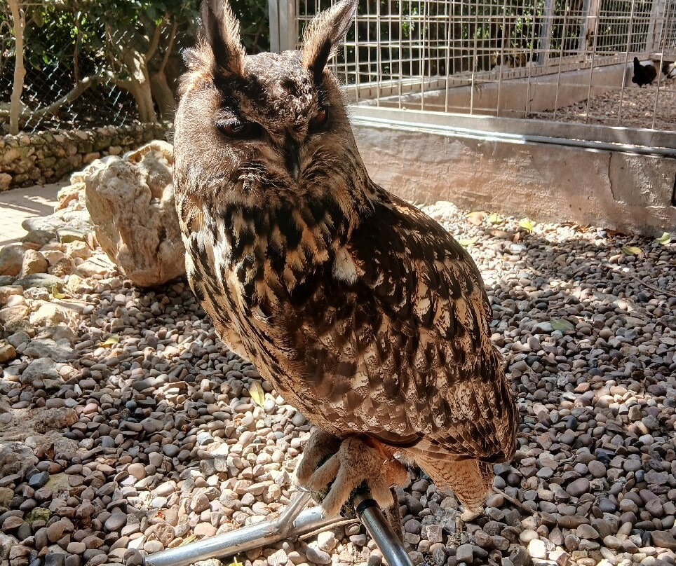 Birdpark Malta-Salina必去景点