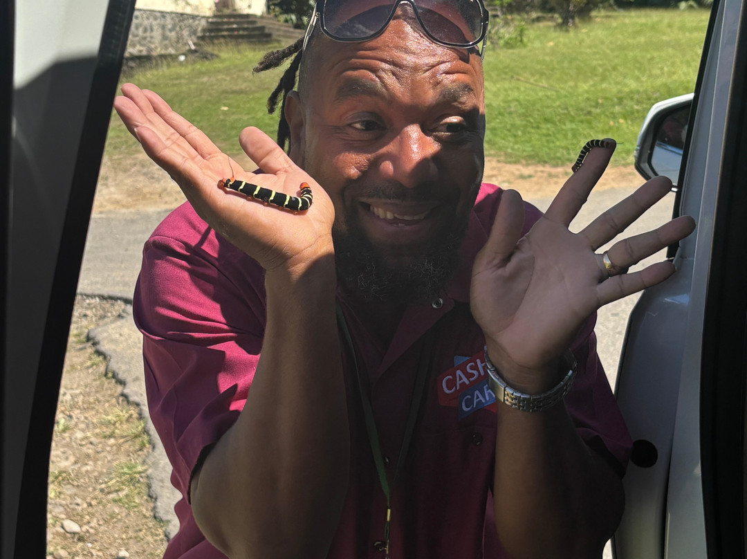 Sheppee Fun Tours Dominica-罗索必去景点