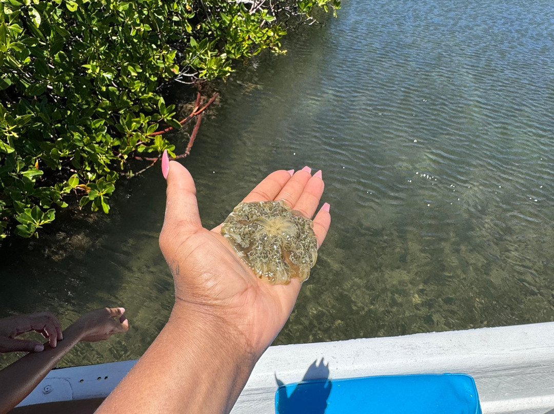 Native Tours Antigua-Seatons必去景点