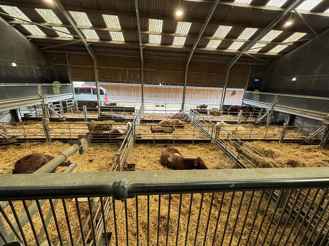 Cannon Hall Farm-Cawthorne必去景点
