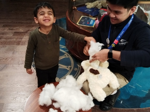 SeaWorld Yas Island Abu Dhabi-阿布扎比必去景点