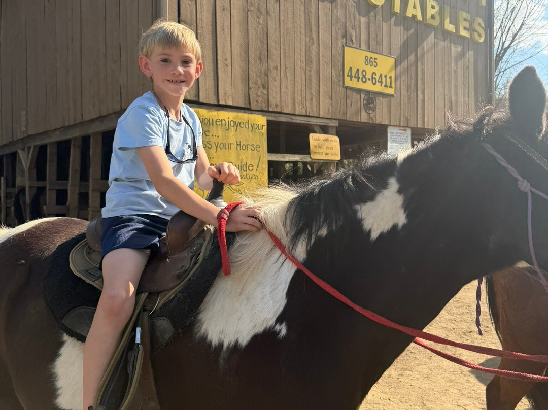 Davy Crockett Riding Stables-汤森必去景点