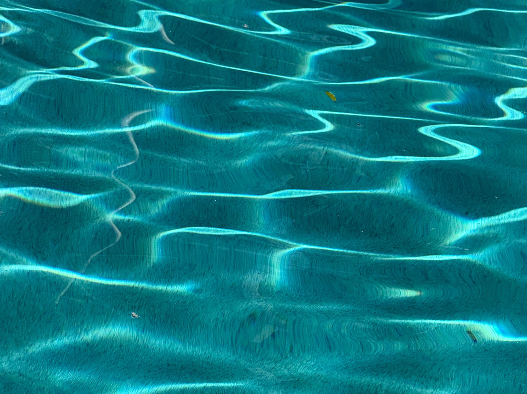 特里格尔太平洋海滩休闲酒店主图