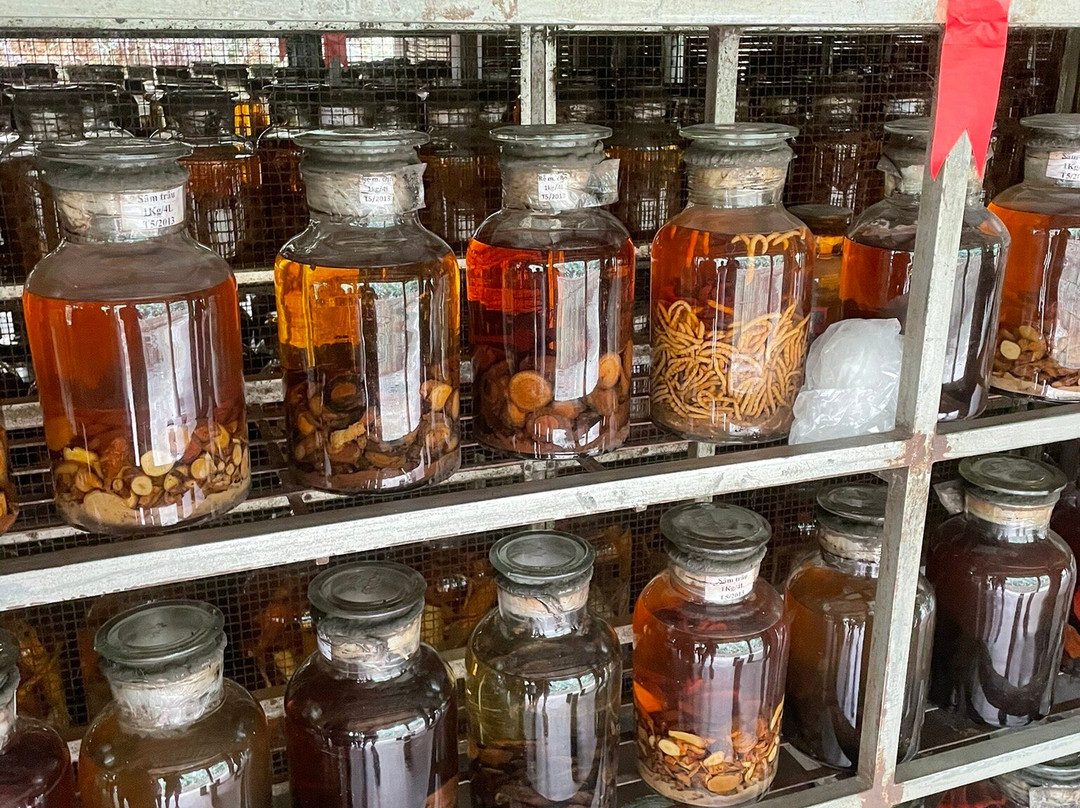 Thai Hai Village-Thai Nguyen必去景点