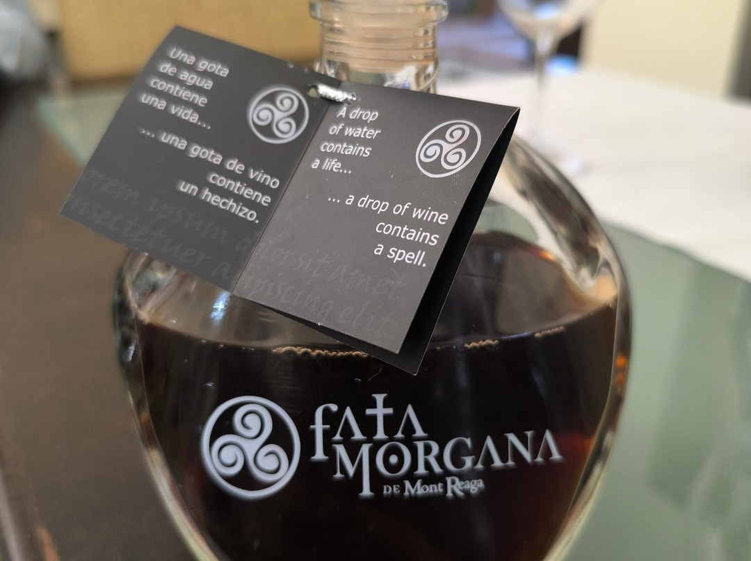 Bodega Mont Reaga-Monreal del Llano必去景点