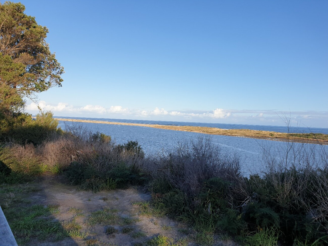 Snowy River Estuary Walk-Marlo必去景点