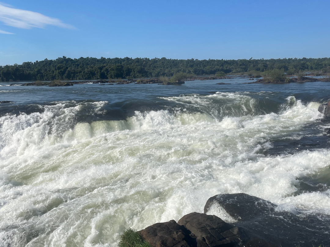 Iguazu Jungle-伊瓜苏港必去景点