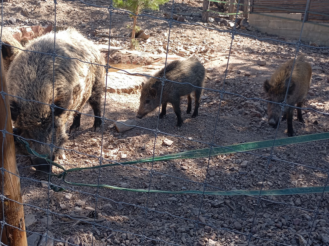 Parque de Fauna La Maleza-Tramacastilla必去景点