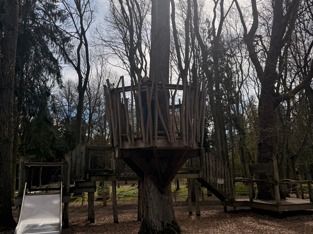 Audley End Miniature Railway-Saffron Walden必去景点