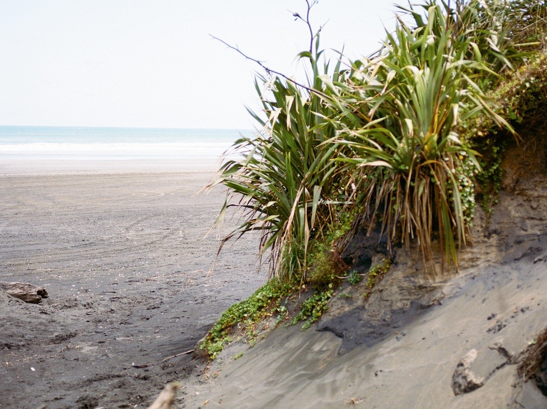 Kariotahi Beach-Waiuku必去景点