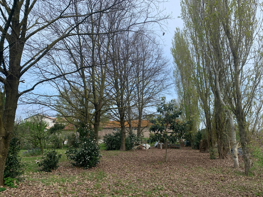 Al Gufo Saggio主图