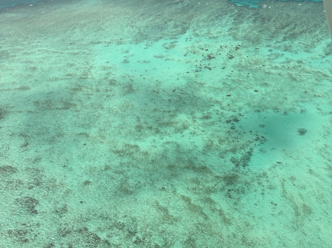 Daintree Air Services-凯恩斯必去景点