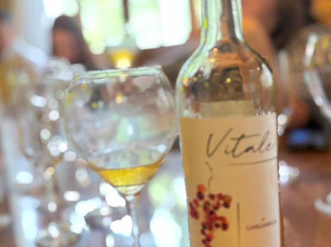 Valparaiso Vinhos E Vinhedos-Barao必去景点