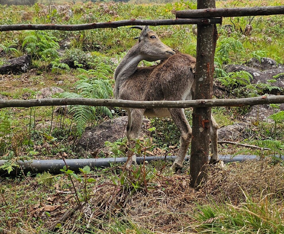 海悦山马辛德拉俱乐部主图