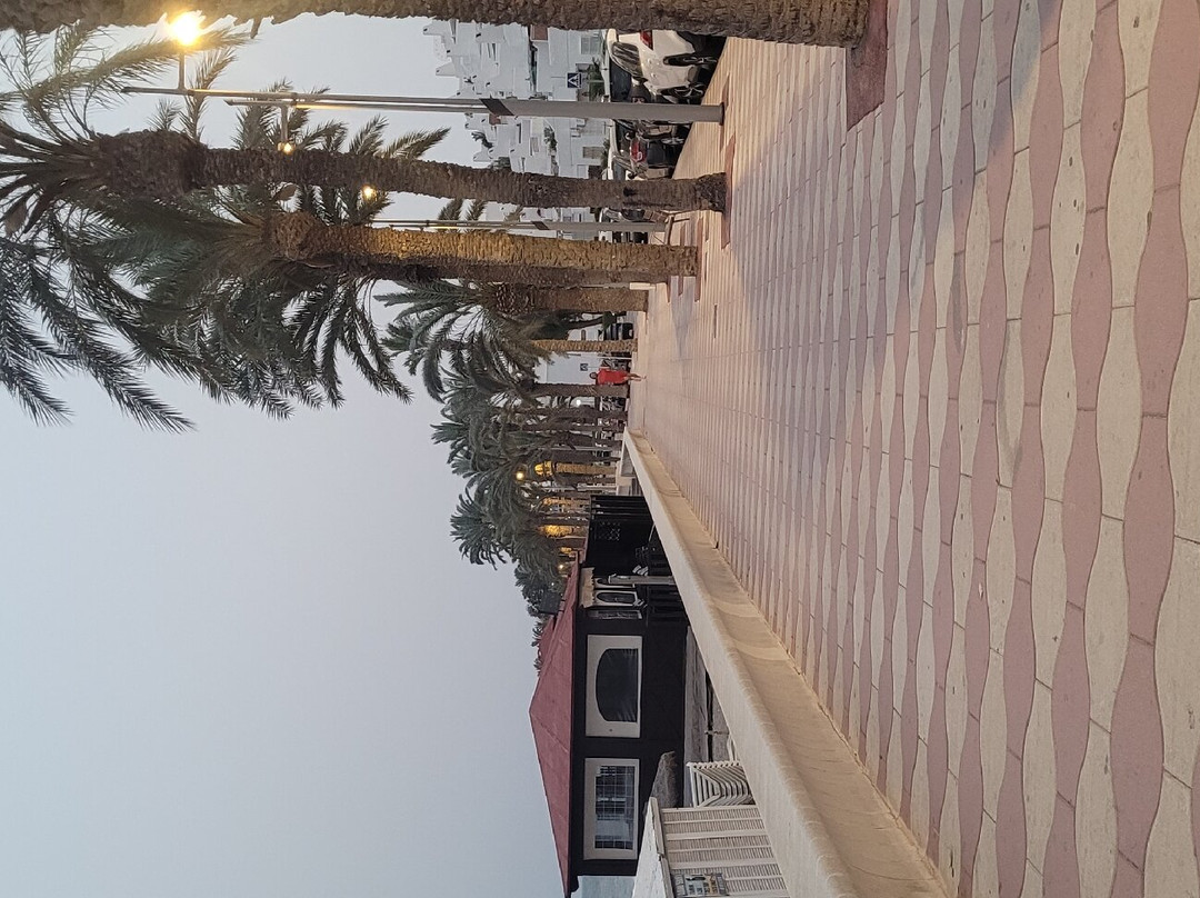 Playa de Aguadulce-阿瓜杜尔塞必去景点