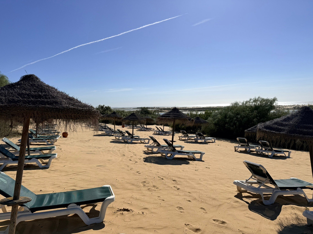 昆塔里亚罗宾逊 - 全包式主图