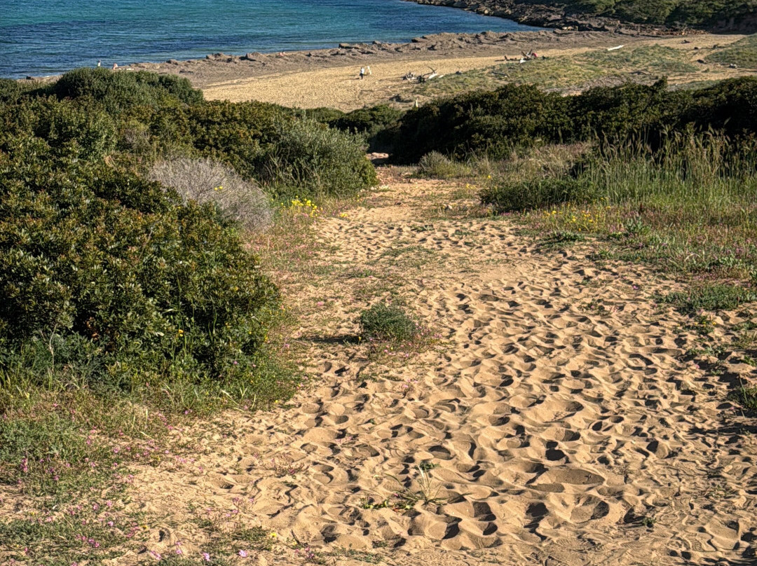 费利西亚别墅酒店主图