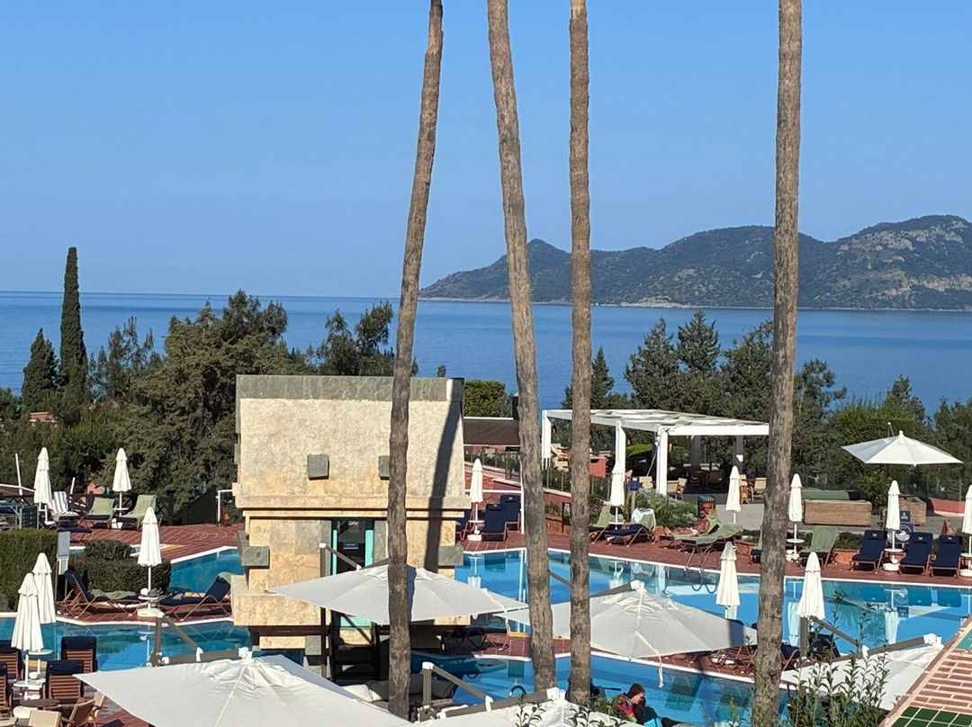 自由利基亚成人酒店主图