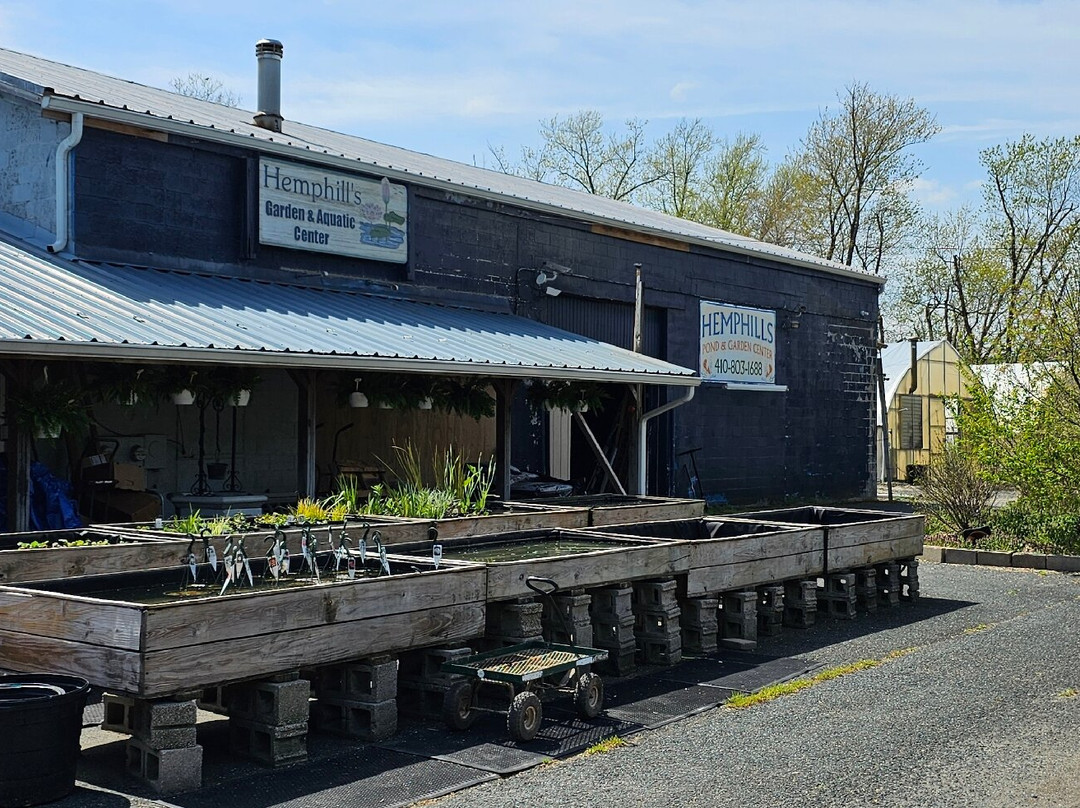 Hemphill's Garden & Aquatic Center