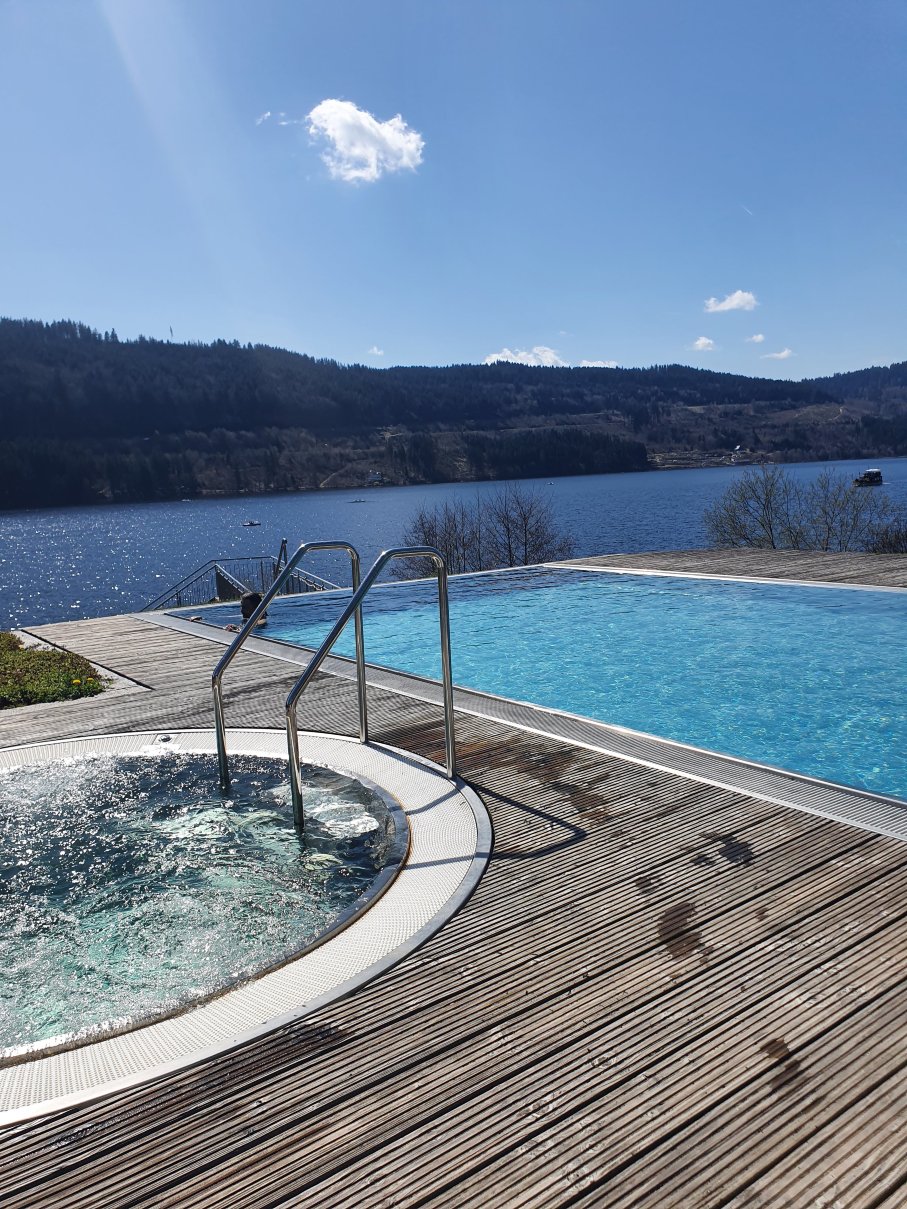 Seehotel Wiesler-旅行者