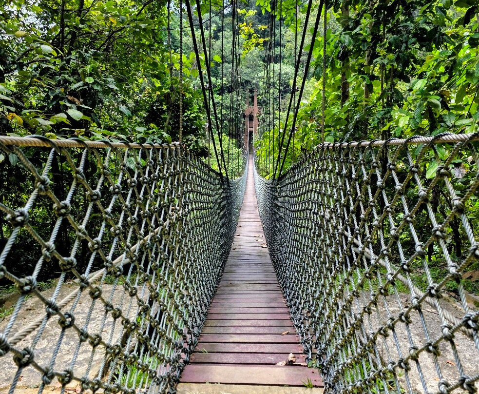 Ulu Temburong National Park-乌鲁淡布伦国家公园必去景点