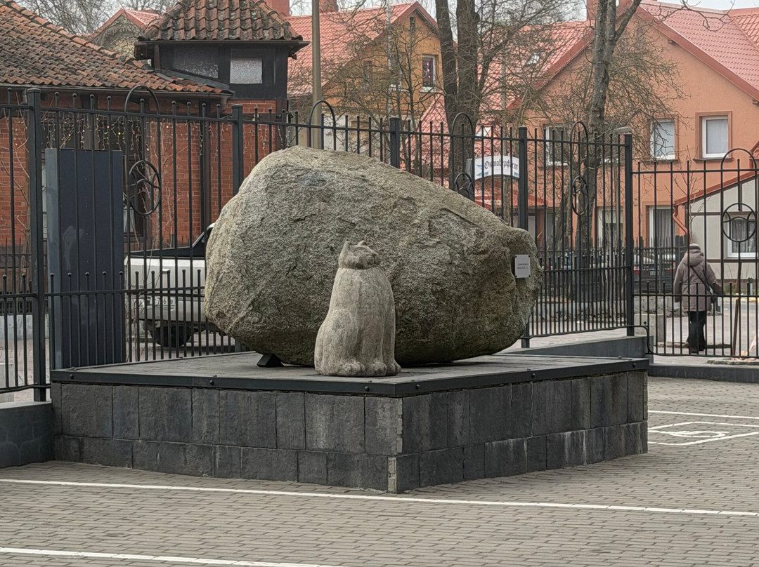 Murarium Art-Collection of Cats-泽列诺格拉茨克必去景点