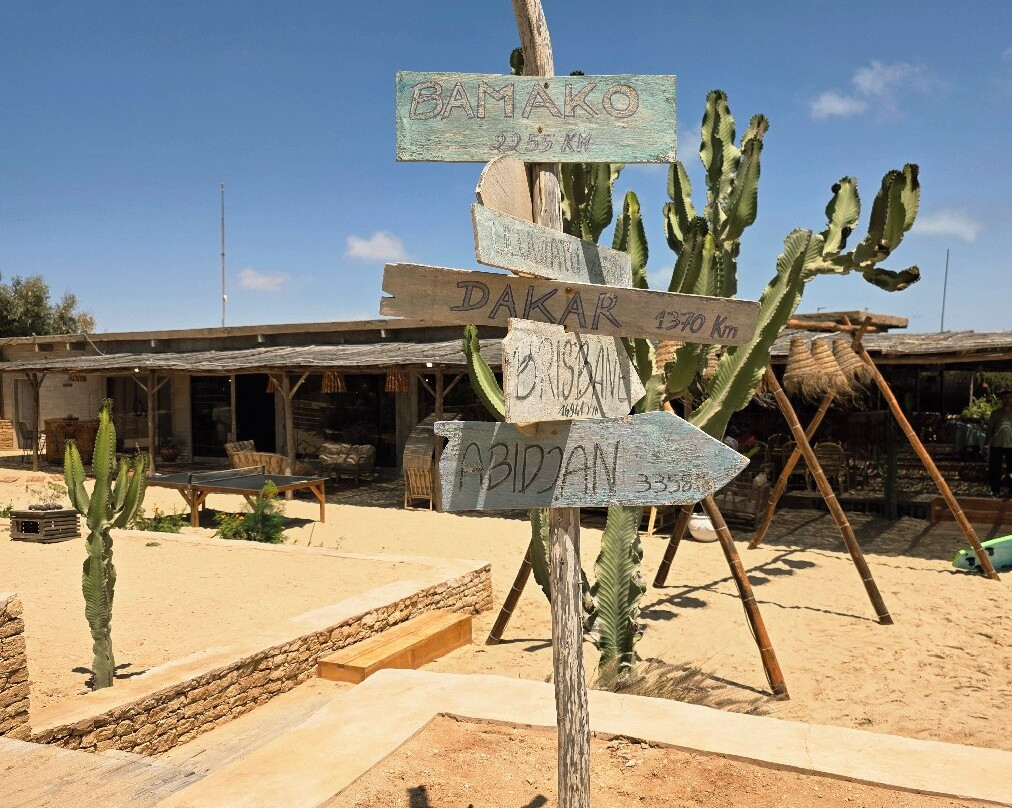 Ocean Vagabond Lassarga主图