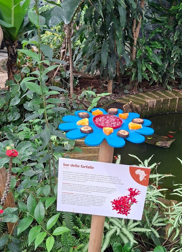 Casa delle Farfalle-Bordano必去景点