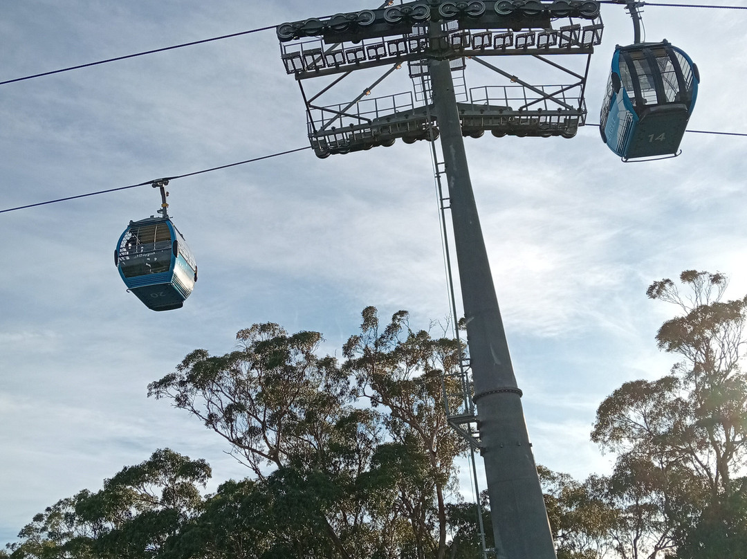 Arthurs Seat Eagle-Arthurs Seat必去景点