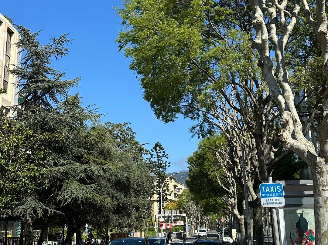 梅德森大街-尼斯必去景点