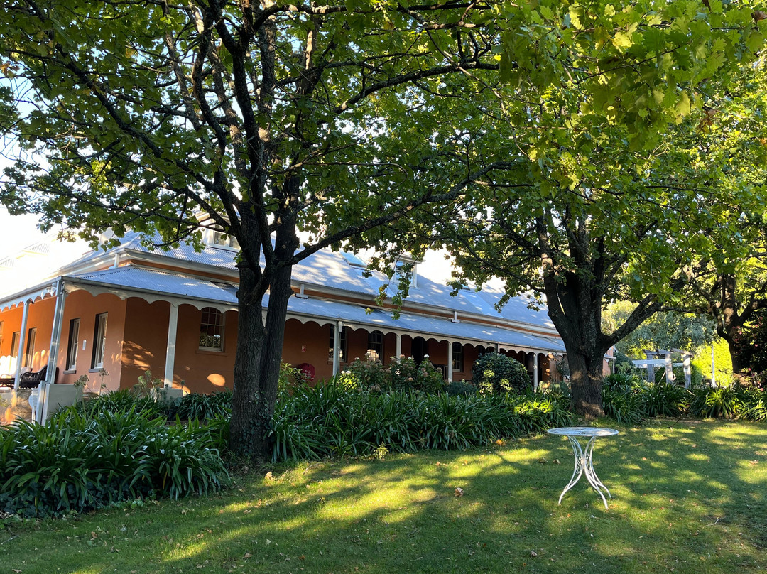 菲茨罗伊历史之地米塔贡住宿加早餐旅馆主图