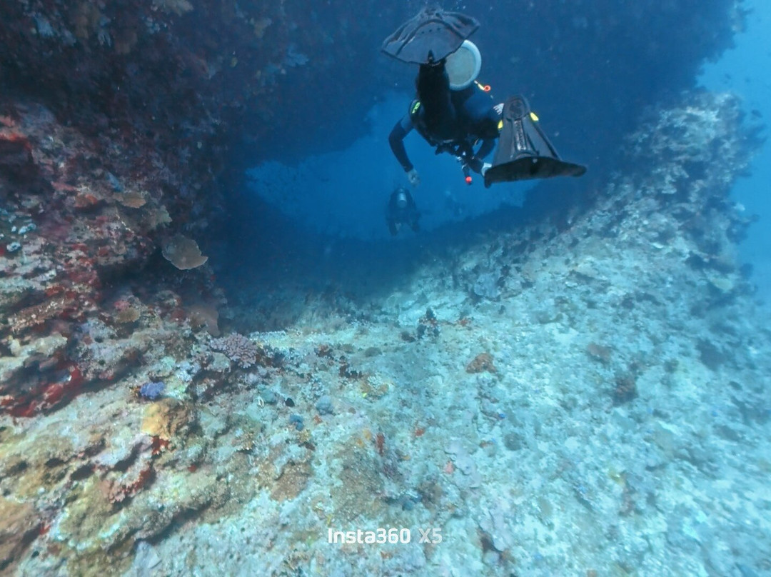 Beqa Adventure Divers-太平洋港必去景点