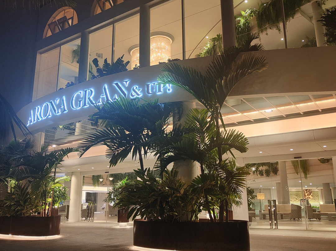 阿罗纳春天大酒店-限成人主图