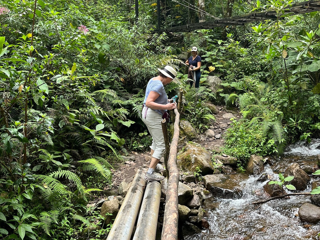 Pipeline Trail-波魁特必去景点