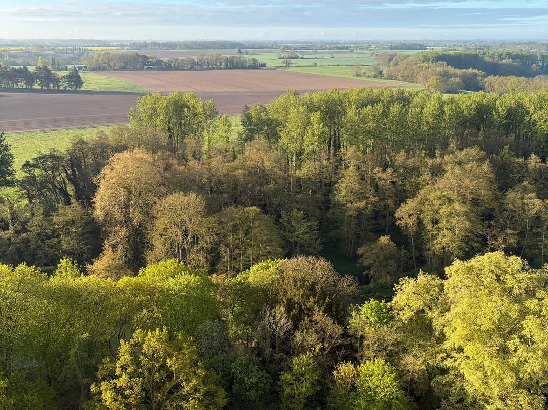 Virgin Balloon Flights - Brome-Brome必去景点