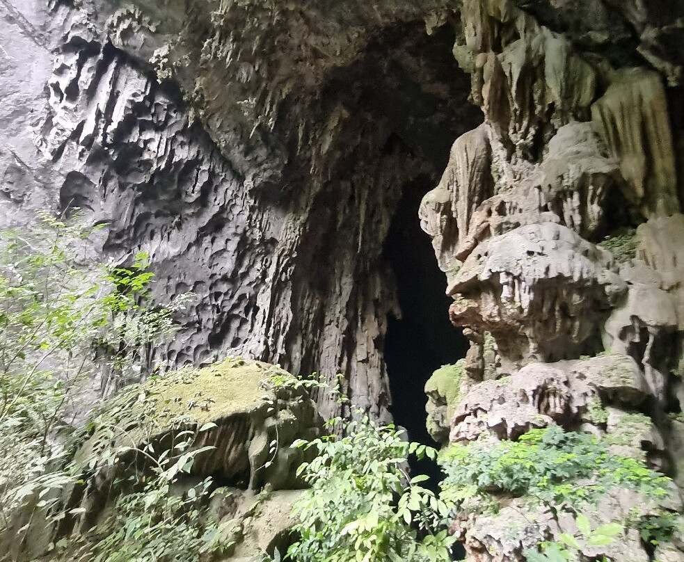 Jungle Boss Tours-峰牙－己榜国家公园必去景点