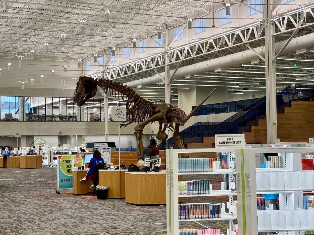 Frisco Public Library-弗里斯科必去景点
