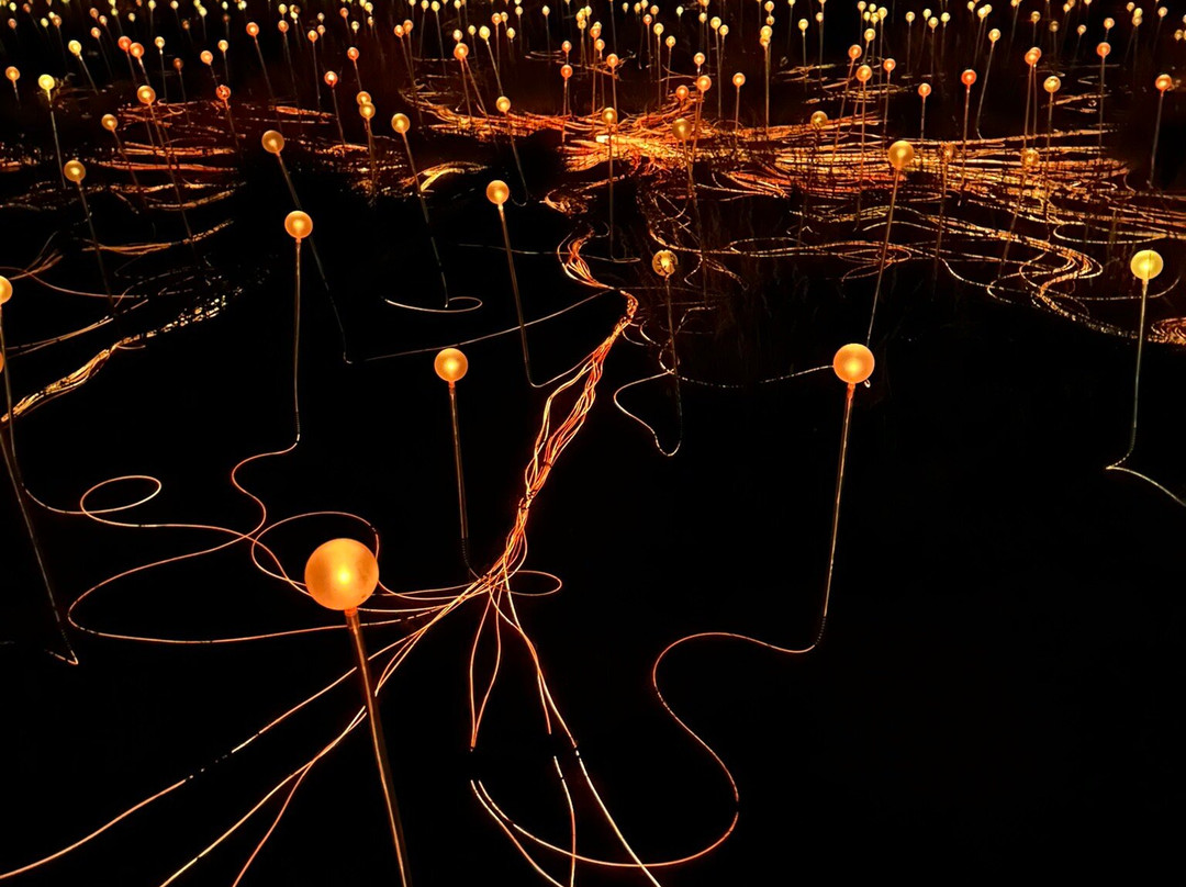 Field of Light-乌鲁鲁-卡塔丘塔国家公园必去景点