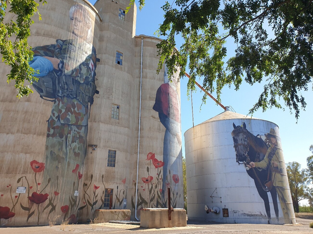 Devenish Silo Art-Devenish必去景点