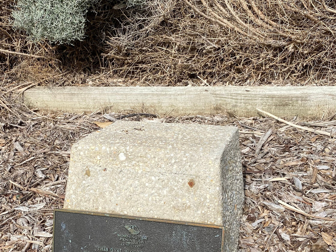 Percy Cerutty Oval (portsea Reserve)-波特西必去景点