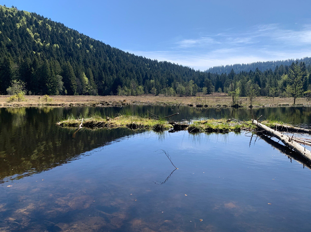 Lac de Lispach-La Bresse必去景点