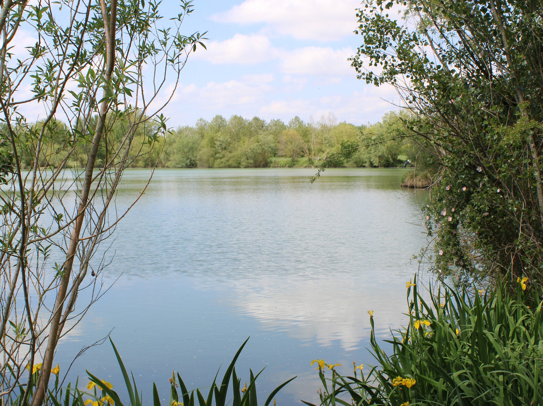 Domaine des Oiseaux-Mazeres必去景点